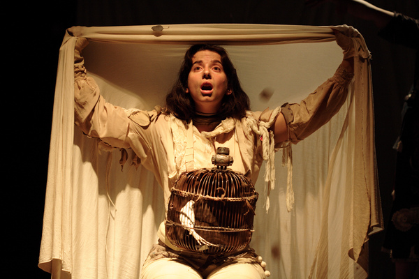 Lenheiras de Cuca Macuca Lenheiras de Cuca Macuca