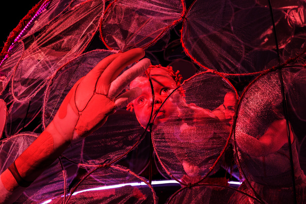 A água que por mim passa