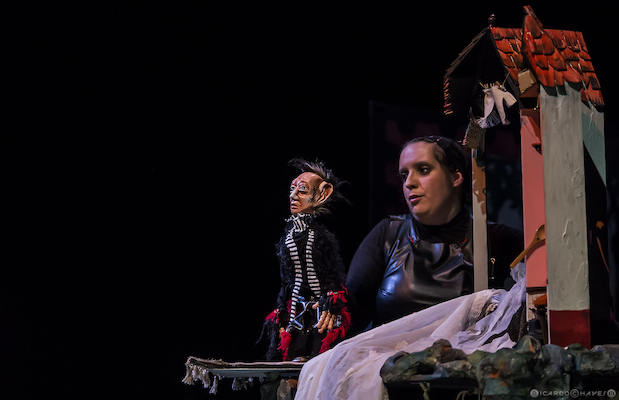 capucha vermelha capucha vermelha