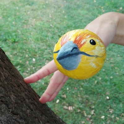 A Floresta A Floresta