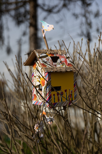 Ninho Abrigo Ninho Abrigo