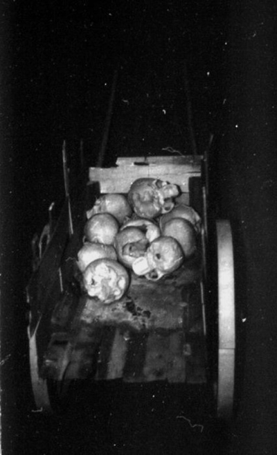 PLETORA - modus vivendi PLETORA - modus vivendi