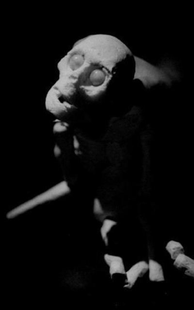 PLETORA - modus vivendi